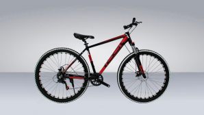 Велосипед  BR 29 Рама: Полированные швы 